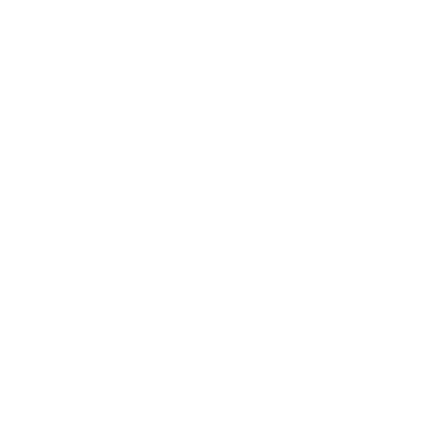 ico3 SERGI Transformer Protector