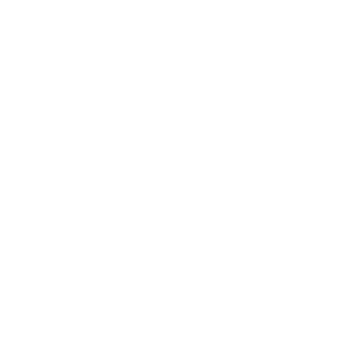 ico4 SERGI Transformer Protector